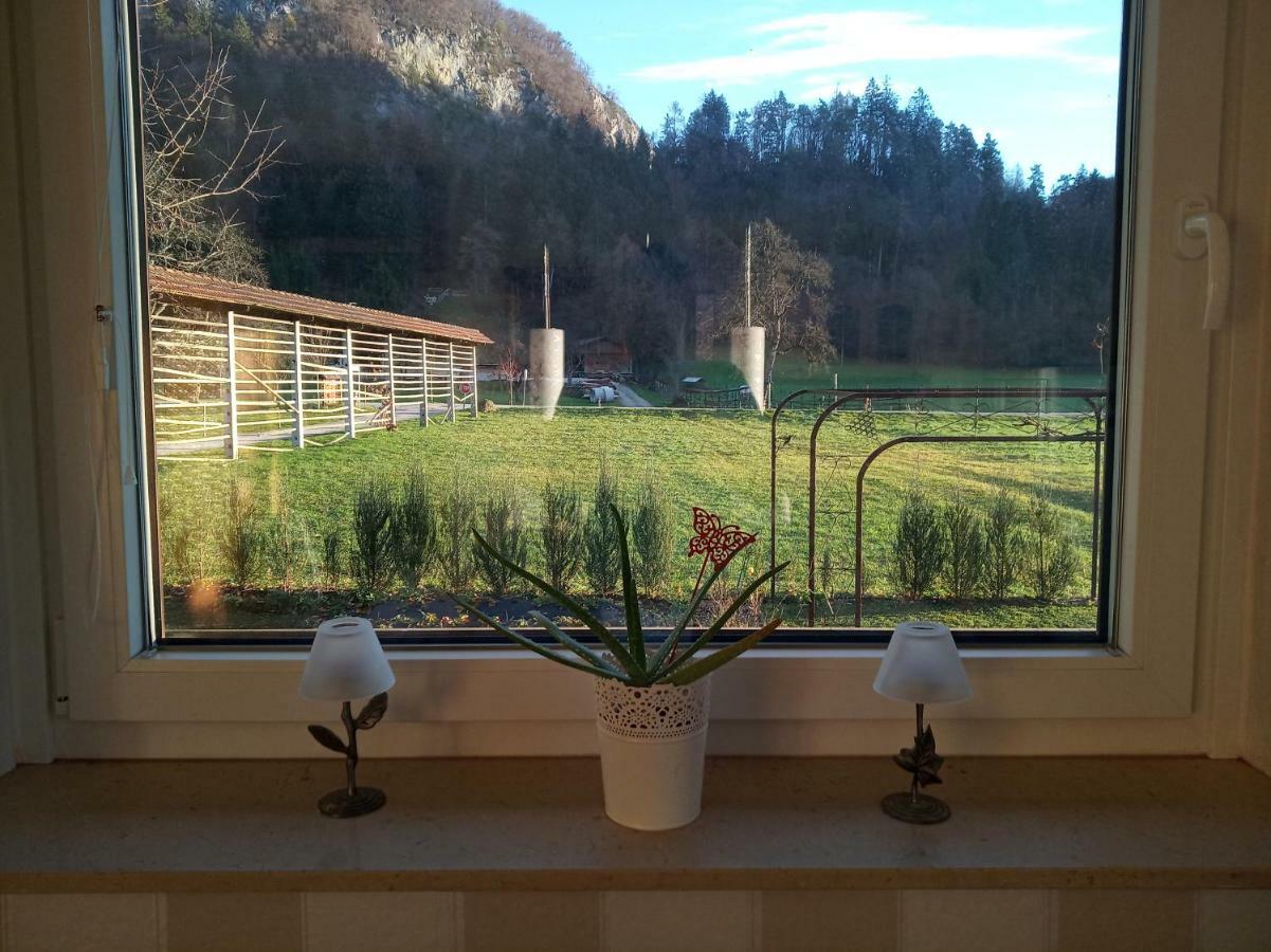 Villa Entire House Iris & Arnika Bled Exterior foto
